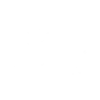 GSS Logo